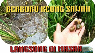 BERBURU KEONG SAWAH ||LANGSUNG DI MASAK RICA2