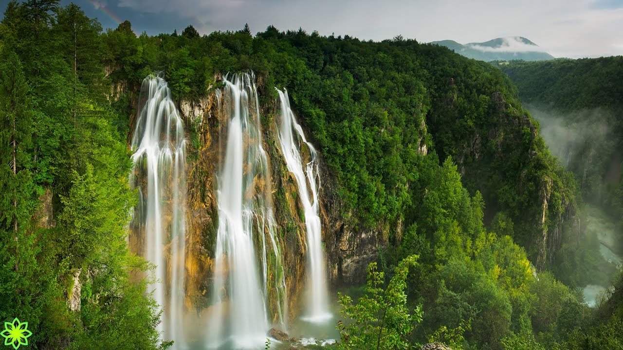 Жабайы табиғатпен босаңсытатын музыка🌿 нәзік музыка, жүйке жүйесін тыныштандырады және жанды қуантад