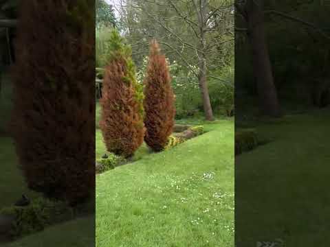 Walking trail at Ware Park, River Lea - Hertford, England