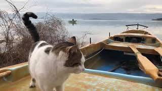 Yaren Leylek Göçten Geldiği Ilk Gün (2020)