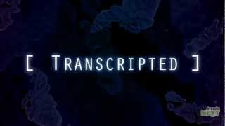 Transcripted - E3 2012 Gameplay-Trailer | FULL HD