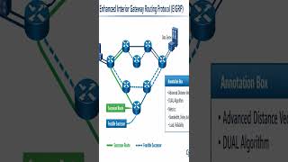 EIGRP Explained Simply | DUAL Algorithm