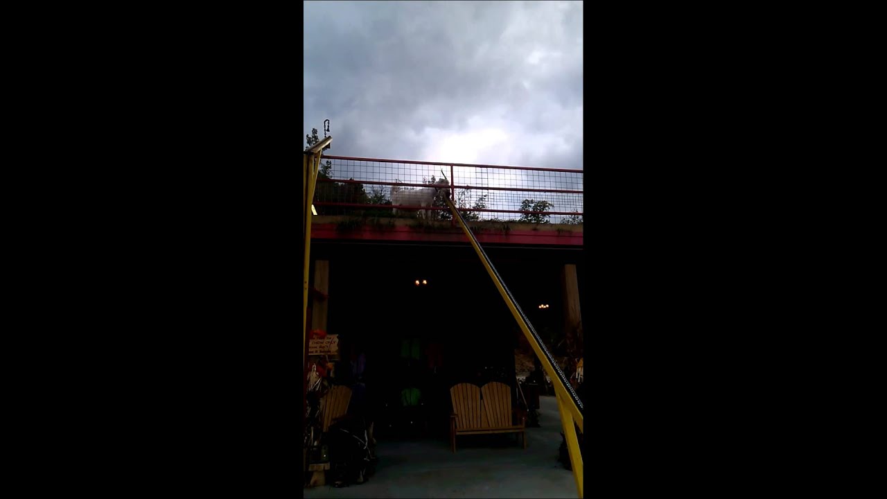Goats on a roof YouTube