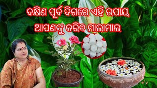 ଦକ୍ଷିଣ ପୂର୍ବ ଦିଗ ରେ ଏହି ଉପାୟ ଆପଣଙ୍କୁ କରିବ ମାଲାମାଲ /Vastu tips 