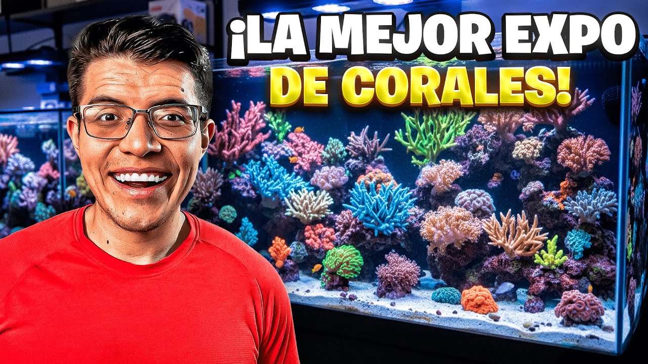 INCREIBLE EXPO de ACUARIOS MARINOS AQUAFEST 2025