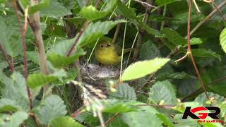 Keindahan Alam Semulajadi bersama lagu yang mengasyikkan...