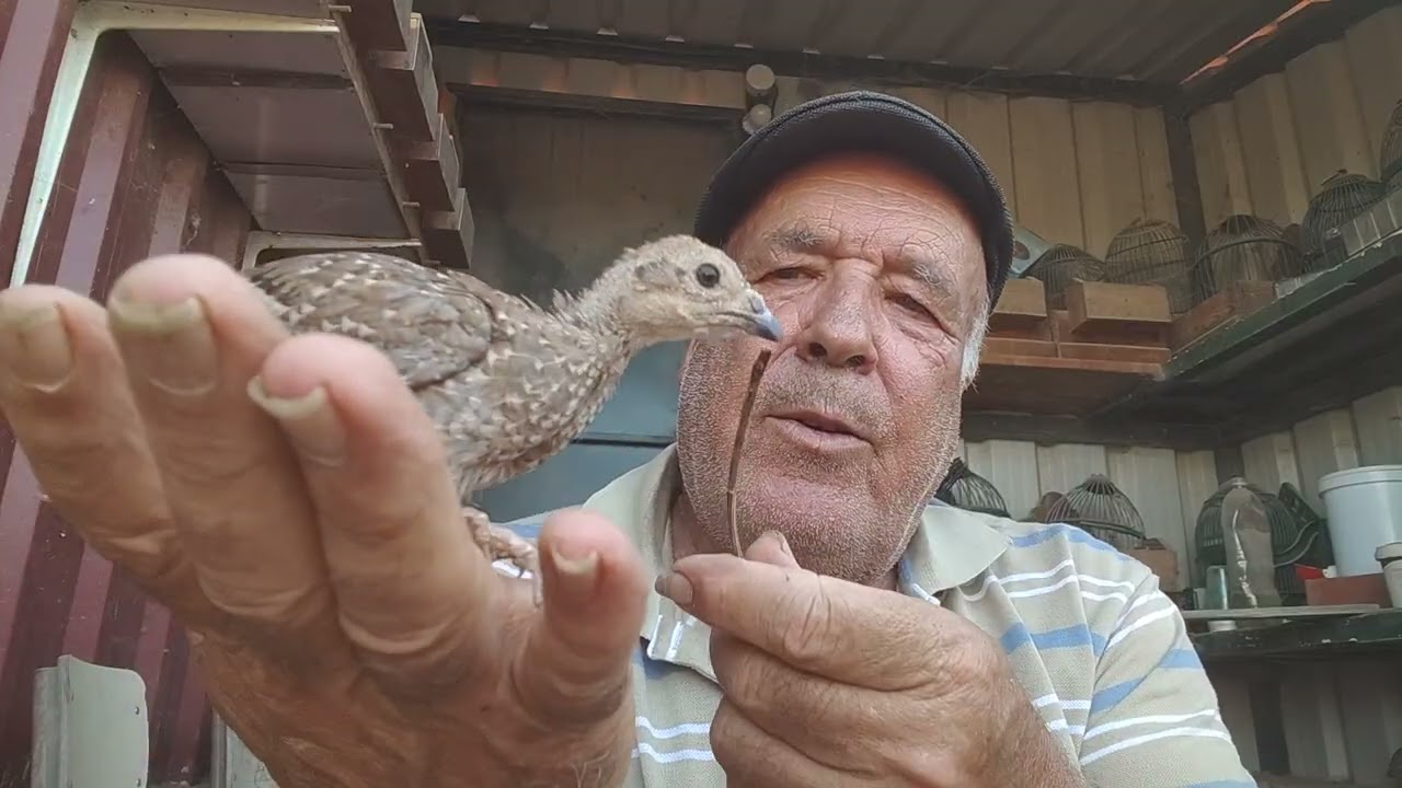 Kada uno ke opine lo kekiera