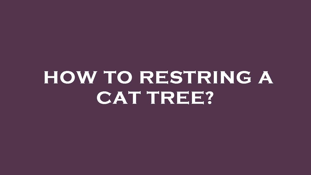 How to restring a cat tree? YouTube