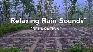 Relaxing Rain Sounds For Sleeping in the Bedroom, Music Spa Relaxation - 30 Minutes Relaxation