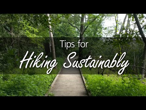 Botanical Garden Visit Tips: 7 Essential Things to Know