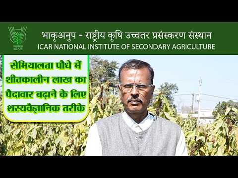 सेमियालता पौधे में शीतकालीन लाख का पैदावार बढ़ाने के लिए शस्यवैज्ञानिक तरीके