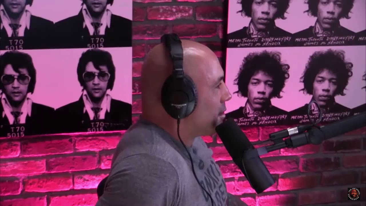 Joe Rogan says the n word