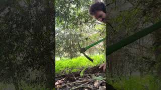 Digging a signal every day until I find gold! #fossicking #australia #fun #gold #adventure