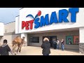 Taking a Camel to the Store