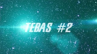 TEBAS#2 2016 IGMS