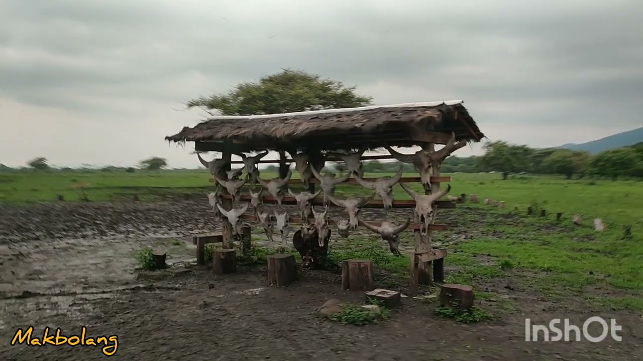 TAMAN NASIONAL BALURAN (Explore Baluran Versi Musim Hujan)