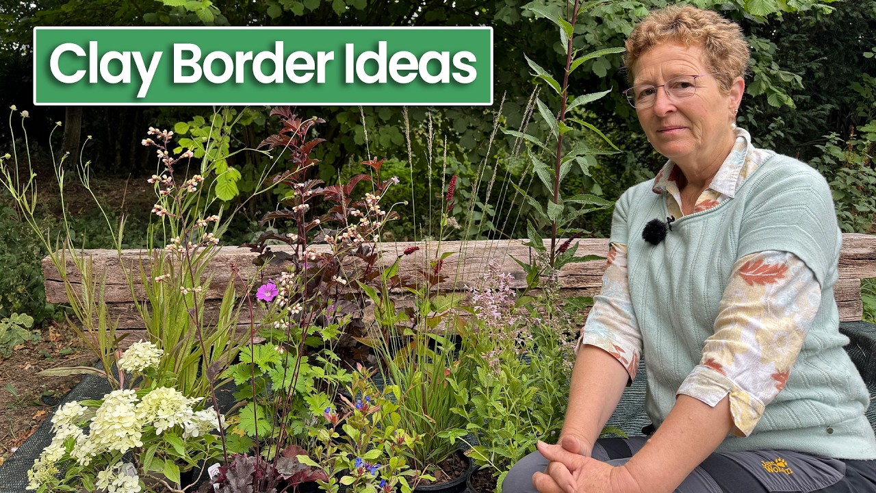 Great Perennials for Clay Soil & How To Combine Them In A Garden Border