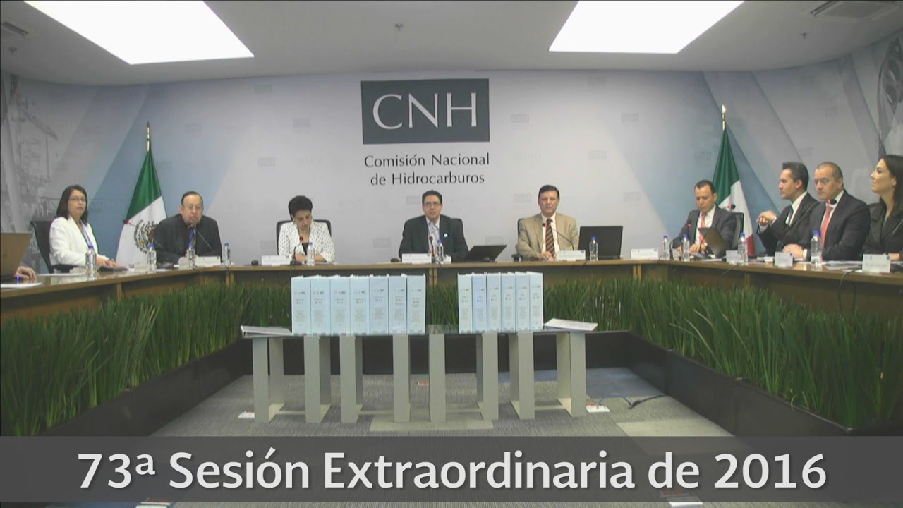 Resumen 73a Sesión Extraordinaria 2016 cnhl
