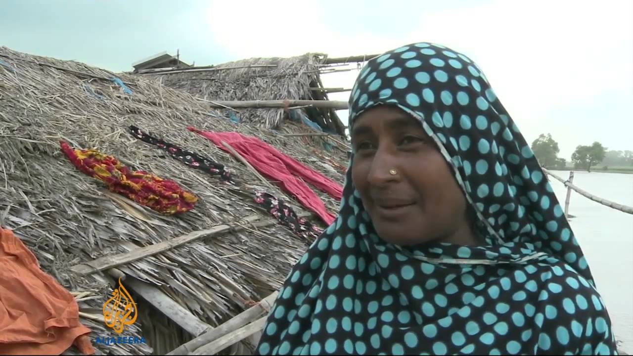 محطة توليد الطاقة بالفحم في بنغلاديش تهدد غابات سونداربانس