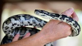 Famous Unlock Python's Math Secrets: Essential Functions Explained!#pythonbasics #learnpython Wealth