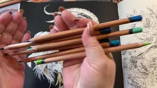 Adult Coloring - Ken Matsuda Rooster 🐓 Part 2