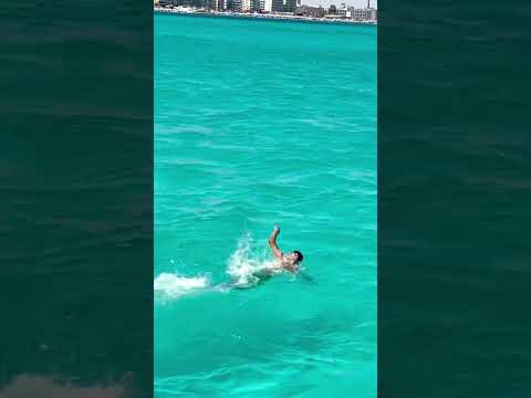 سباحة في بحر مرسى مطروح تعليم سباحة انقاذ رحلات بحريه بحر سباحة  سباح