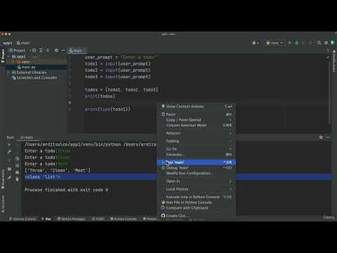 007 ▶️ Storing User Input #lists