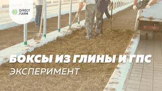 видео: Соломенно-известковый матрас в боксах из глины и ГПС для КРС на беспривязном содержании. Эксперимент картинка: Соломенно-известковый матрас в боксах из глины и ГПС для КРС на беспривязном содержании. Эксперимент