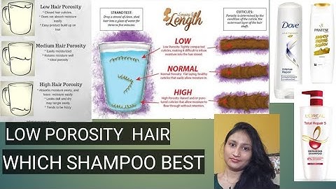 Shampoo and conditioner for low porosity hair