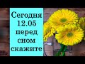 Сегодня 12 мая перед сном скажите эти слова