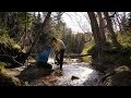 3 Days Solo Camping and Canoeing on Backcountry River - Moose and Calf Encounter