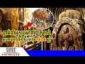 ខ្លាធំមួយក្បាលនាំអ្នកប្រមាញ់ឱ្យស្គាល់គុហាបុរាណអាយុកាលជាង ១៥០០ ឆ្នាំ