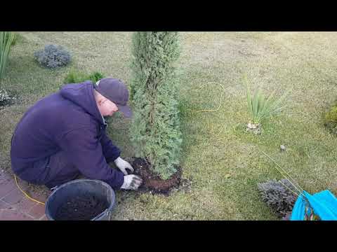 Vidéo: Lac Cypress à Anapa