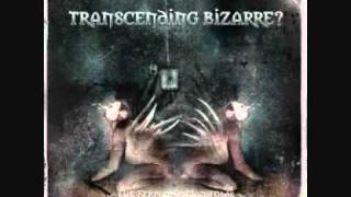 Watch Transcending Bizarre Dimension Hell video