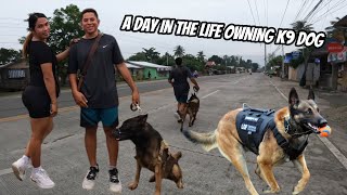 Download Lagu A DAY IN THE LIFE OWNING K9 DOG MP3 Download Lagu A DAY IN THE LIFE OWNING K9 DOG MP3