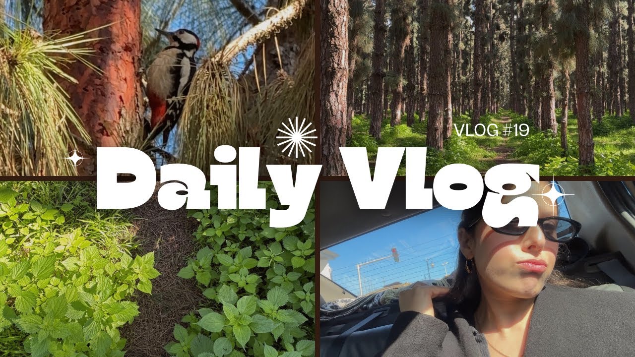 لقيت نقار الخشب فغابة هيلتون 😍