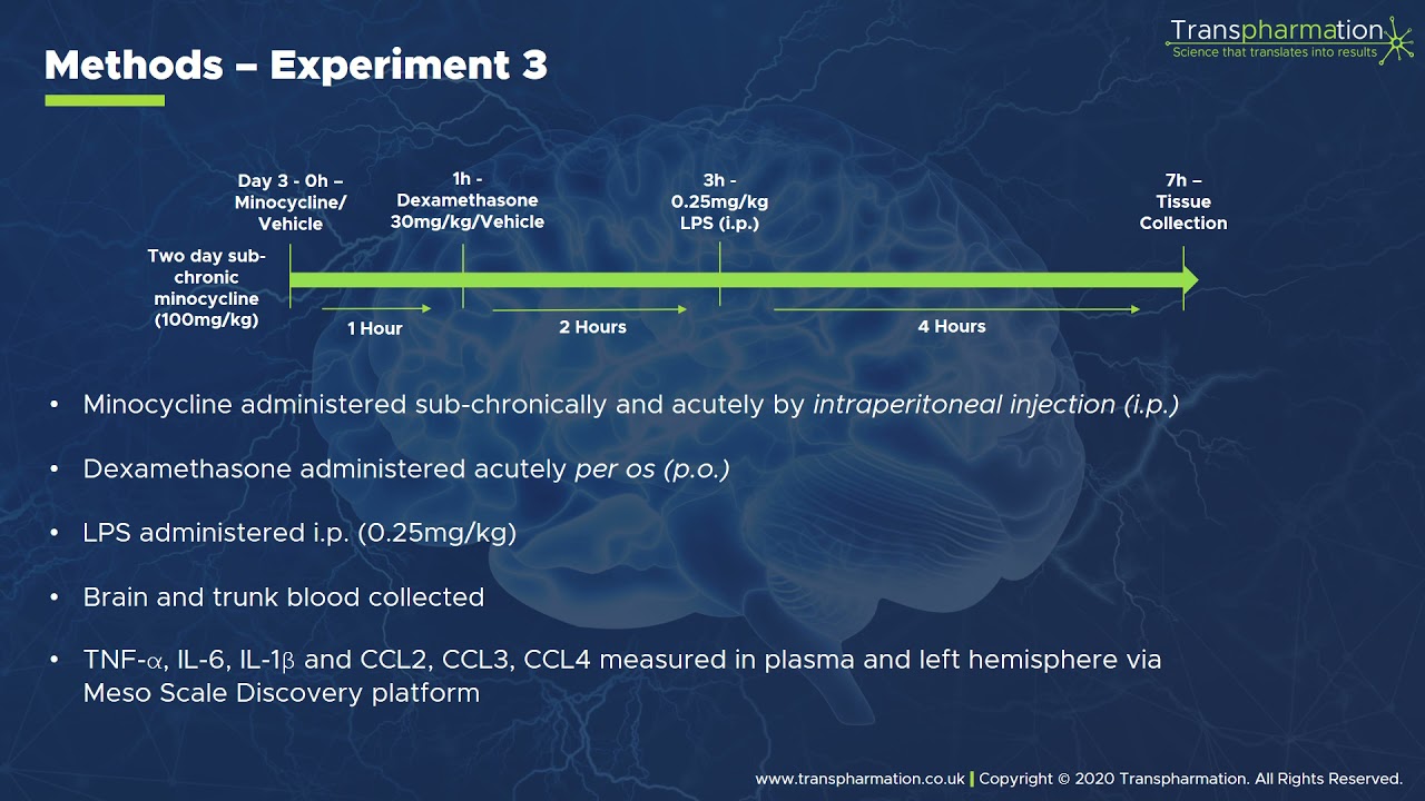 SfN21_Investigation of LPS administration by i.p. Vs i.c.v as a model of neuroinflammation