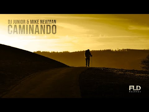 Mike Newman & Dj Junior - Caminando mp3 letöltés