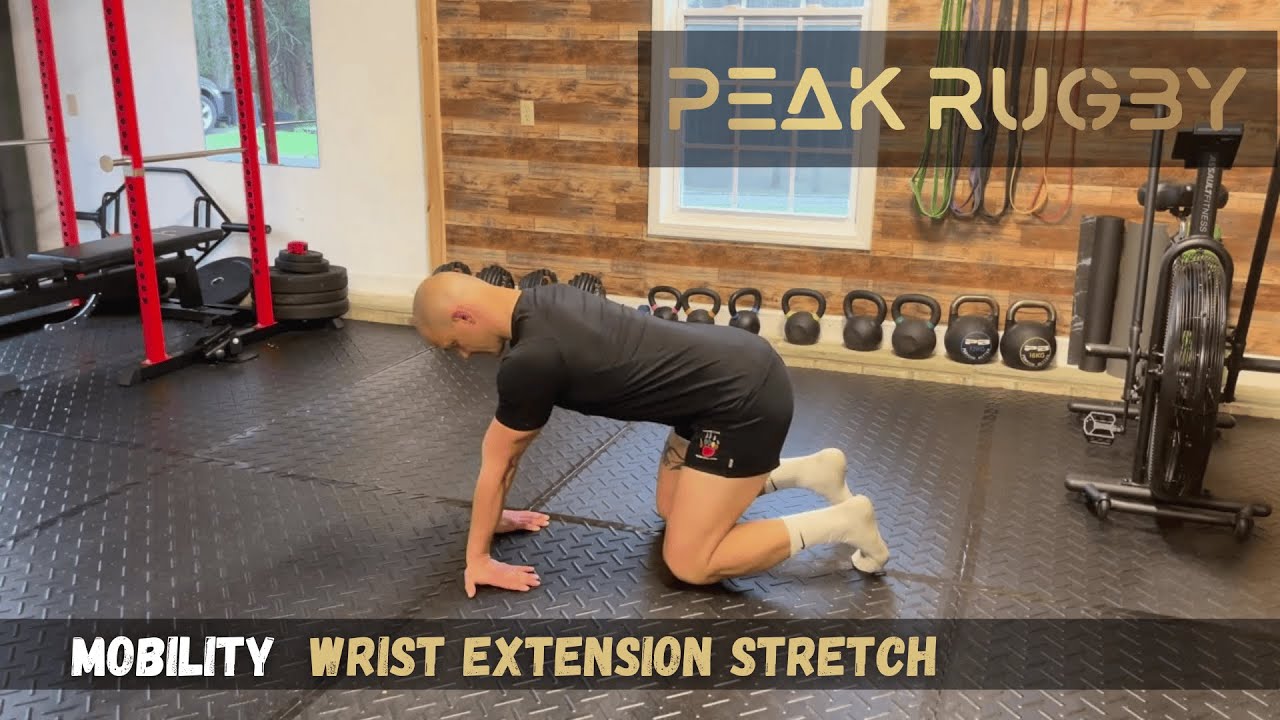 How to Do Wrist Extension Stretch | Forearm & Wrist Mobility