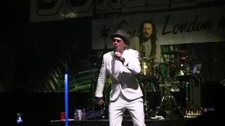 The Dualers - Big Shot chords