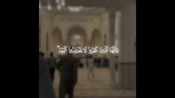 تلاوة من سورة التحريم| للشيخ احمد عبد الرازق نصر 💗 #سورة_التحريم #احمد_عبدالرازق_نصر #millionviews