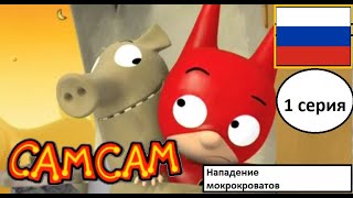 Самсам-нападение мокрокроватов