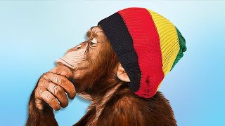 Phil 4 Real Ft. Bleach - Bank Run Official Video Amc To The Moon