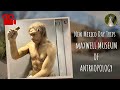 An inside look at the maxwell museum of anthropology