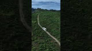 ගස් අතරින් සුදු අලියෙක් යනවා වගෙ🥺