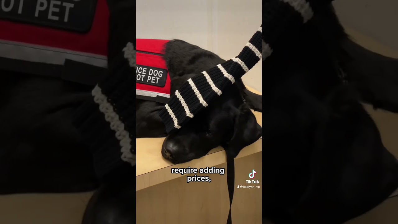 Shopping as an autistic adult