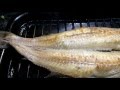 特大ほっけby 料理人慶