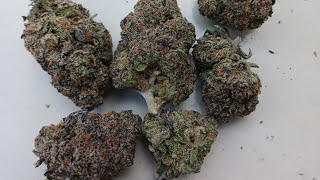 Weed Review #136 Gas Cake