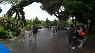 Animal Kingdom 360:  Pandora