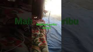 Mahligai Seribu Mimpi